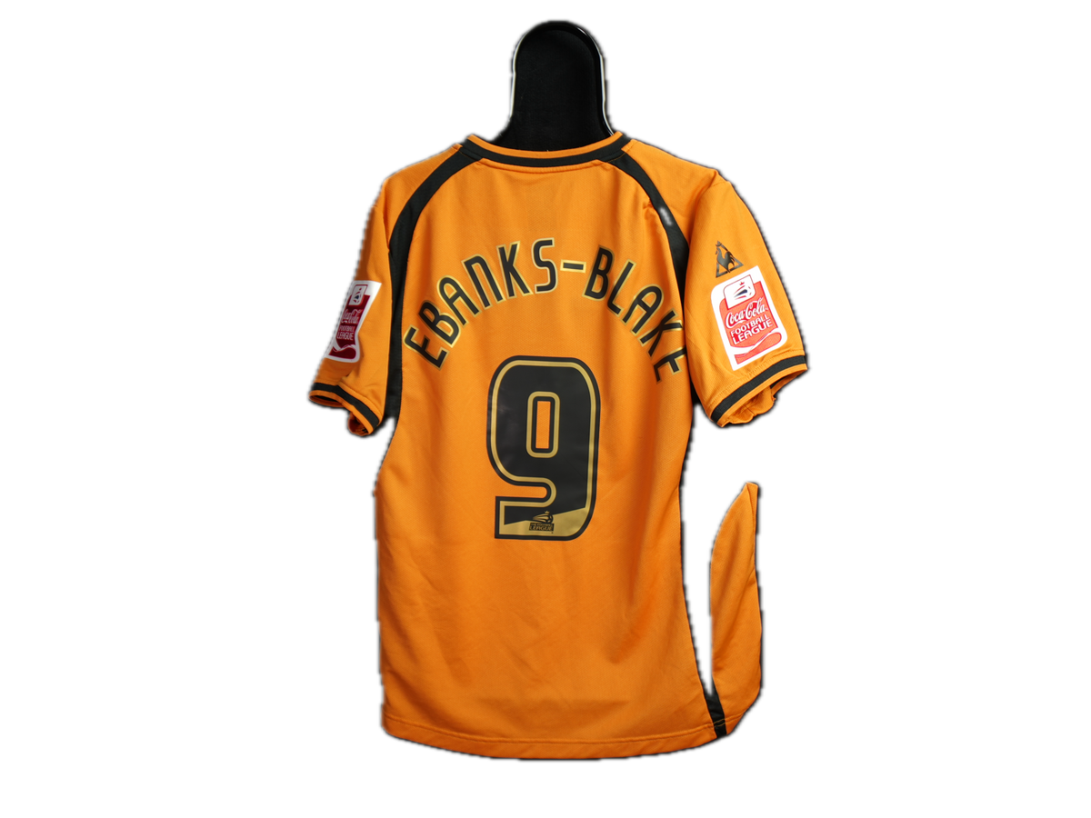 Wolverhampton Wanderers 2008-2009 #9 Ebanks-Blake M Home Football Shirt