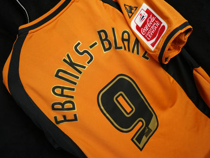 Wolverhampton Wanderers 2008-2009 #9 Ebanks-Blake M Home Football Shirt
