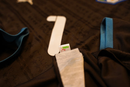 2009 2010 Italy #1 Buffon Goalkeeper Bronze Long Sleeve Puma