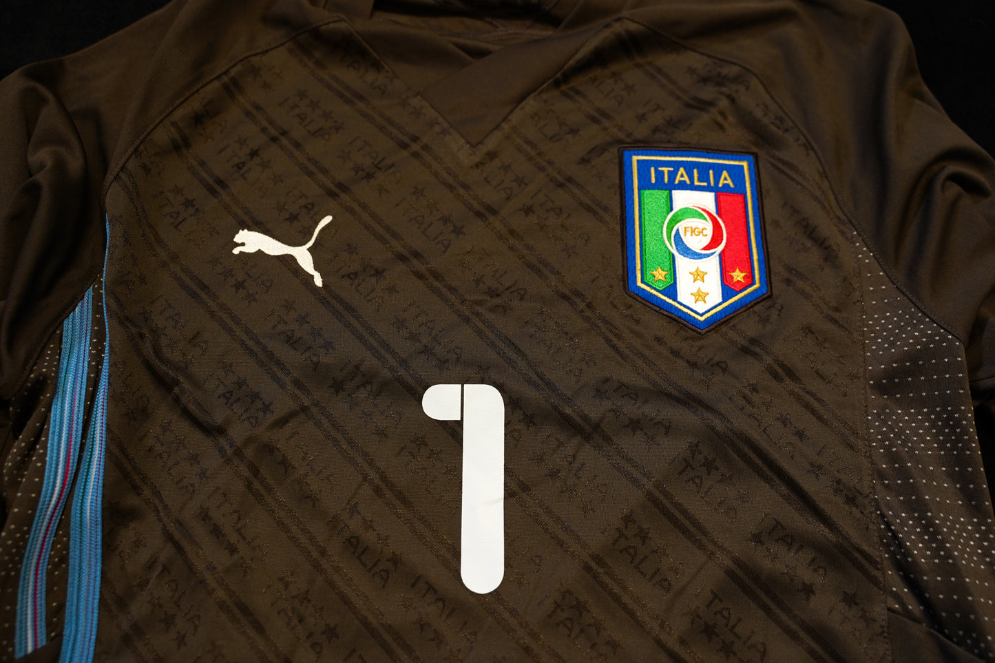 2009 2010 Italy #1 Buffon Goalkeeper Bronze Long Sleeve Puma